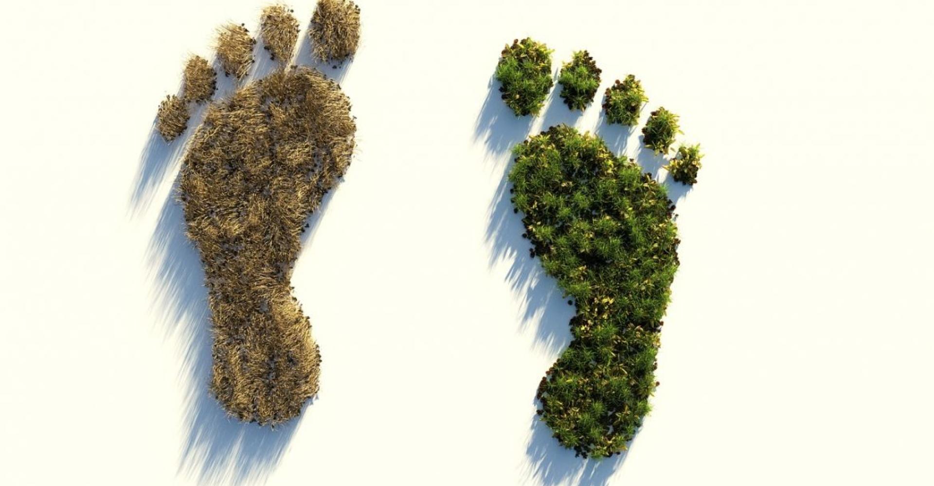 Ecological Footprint